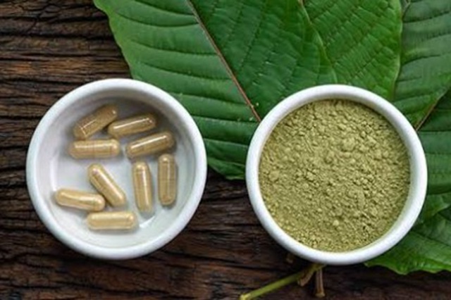 obrázek kratomu