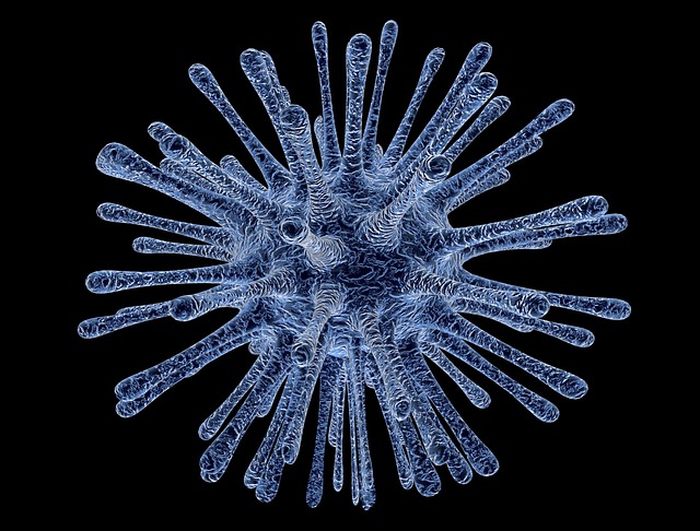 virus infikovaných buněk
